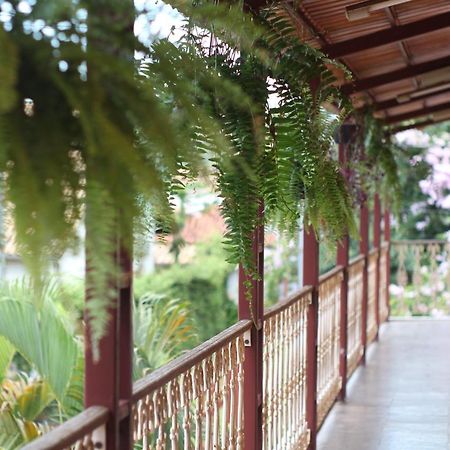 Recanto Das Abelhas - 300 M Do Centro Historico Hotel Tiradentes Eksteriør billede